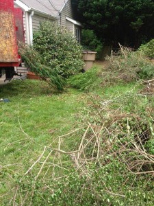 yard debris cleanup