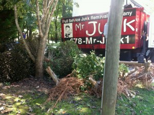 spring landscaping debris removal