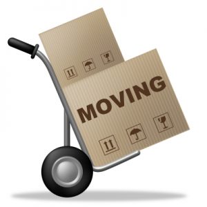 moving boxes